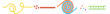 Thumbnail design of playground marking/equipment - Play Run