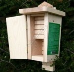 Bat Box playground marking/equipment photo - Nature and Wildlife