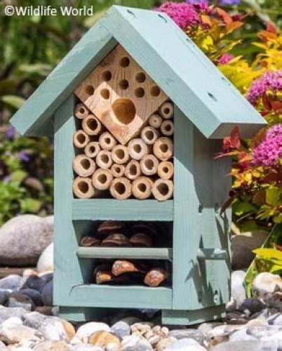 Photo of playground marking/equipment - Bee & Bug Biome | Nature and Wildlife / Retail