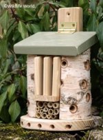 Bug Barn playground marking/equipment photo - Nature and Wildlife