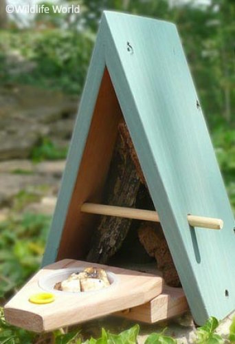 Photo of playground marking/equipment - Butterfly Biome | Nature and Wildlife / Retail