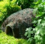 Hedgehog Hogitat playground marking/equipment photo - Nature and Wildlife