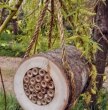 Thumbnail photo of playground marking/equipment - Pollinating Bee Log